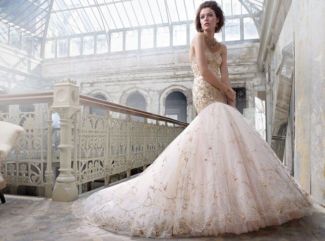Lazaro Blush wedding dresses Photo - 7