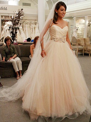 Lazaro Sherbet wedding dresses Photo - 9