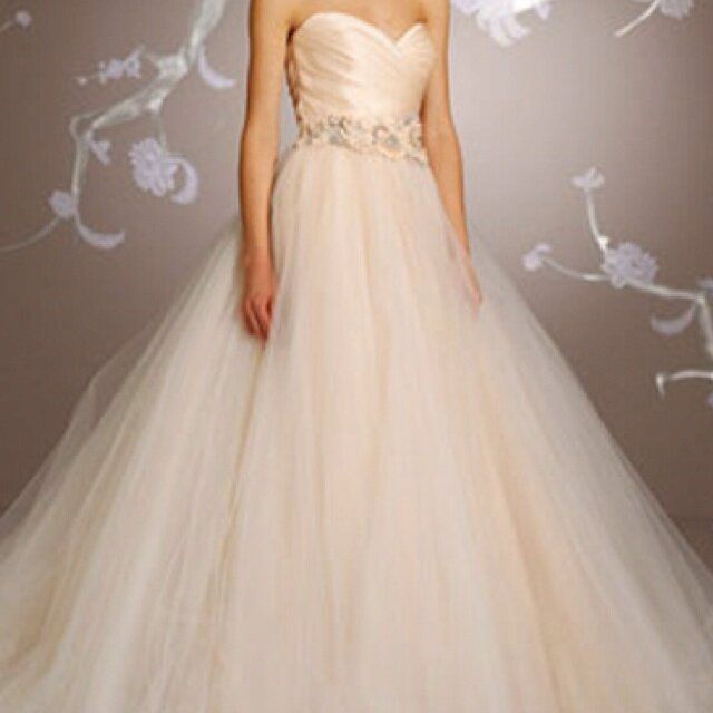 Lazaro Sherbet wedding dresses Photo - 3