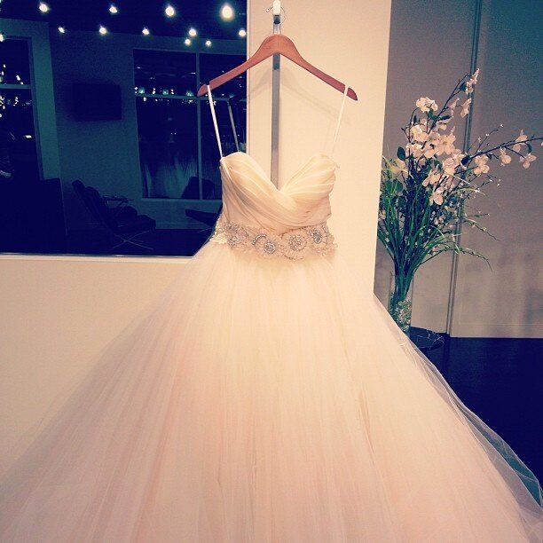 Lazaro Sherbet wedding dresses Photo - 4