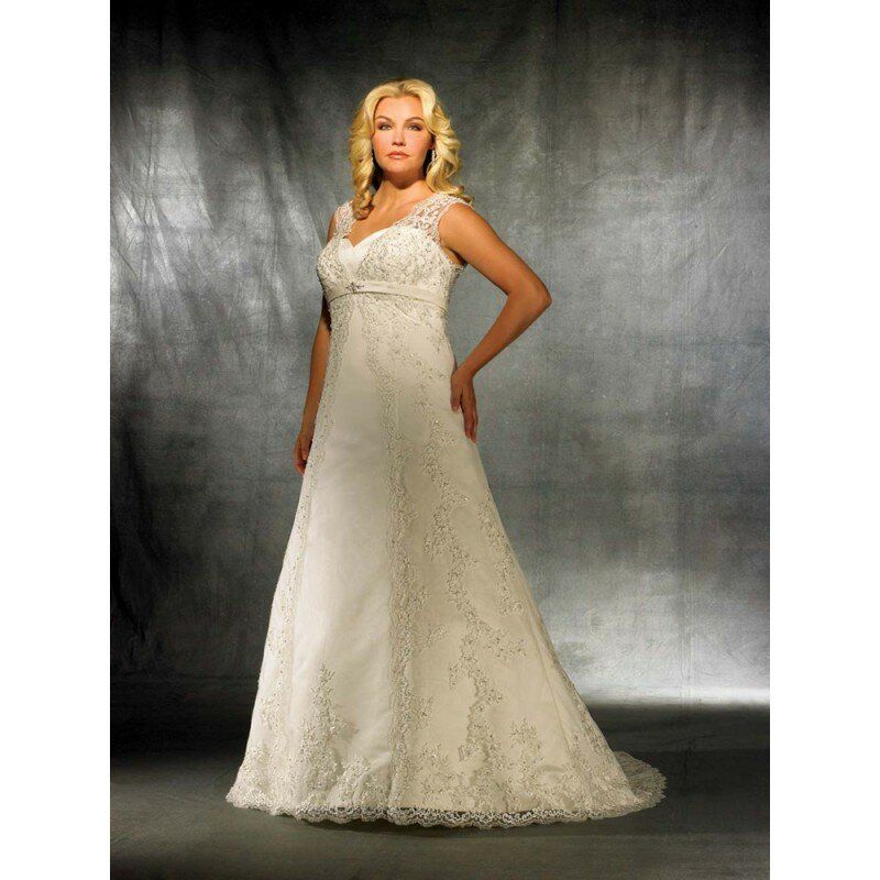 Plus size retro wedding dresses Photo - 9