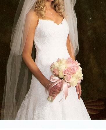 Vera Wang stephanie wedding dresses Photo - 2