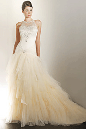 Vera Wang vintage wedding dresses Photo - 3