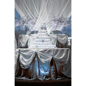 Winter wonderland wedding dresses Photo - 4